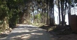 Linda chácara!!! móvel para venda possui 13.810 metros quadrados com 3 quartos